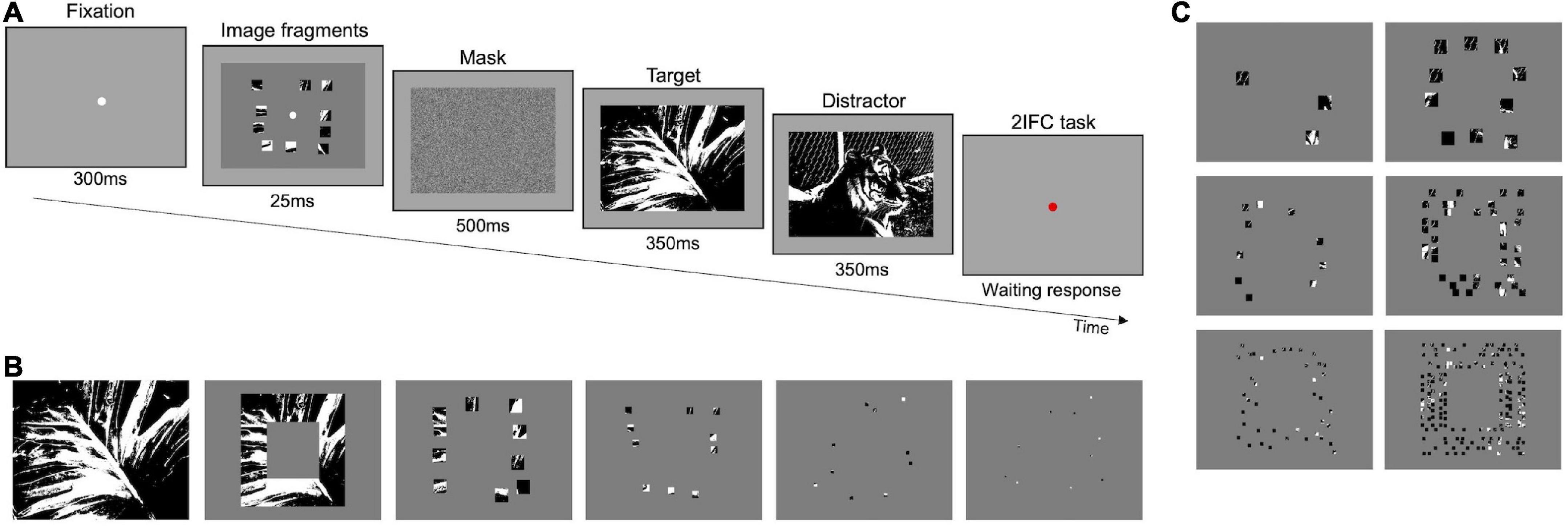 Fast discrimination of fragmentary images: the role of local optimal information